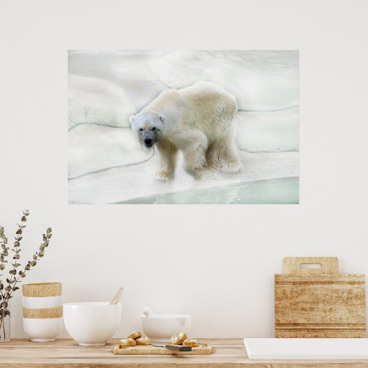 Eisbären, Eiskalt Poster (Küche)