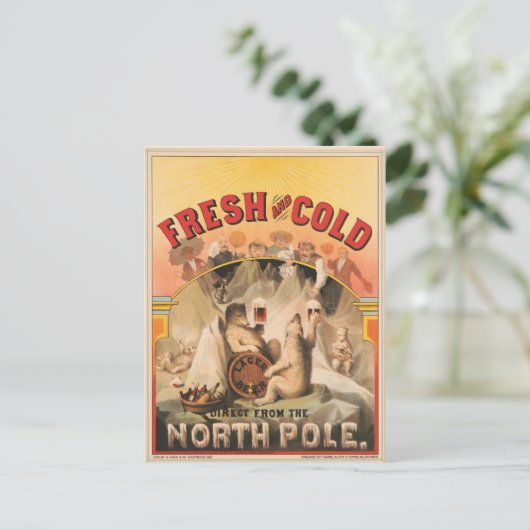 Eisbären erfreuen sich an Tasse von Lagerbier Postkarte (Stehend Vorderseite)