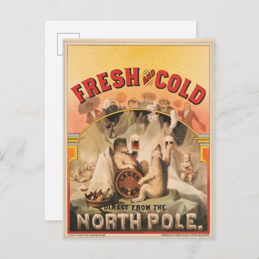 Eisbären erfreuen sich an Tasse von Lagerbier Postkarte (Vorne/Hinten)