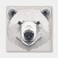 Eisbären-Illustration