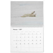 Eisbären in der Wildnis Kalender (Feb 2027)
