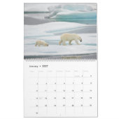Eisbären in der Wildnis Kalender (Jan 2027)