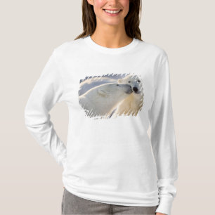 Eisbären-Kuss T-Shirt