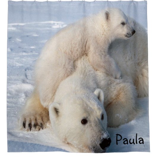 Eisbären mit Duschvorhang (Vorderseite)