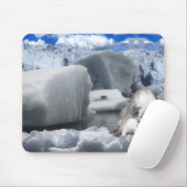 Eisbären Mousepad (Mit Mouse)