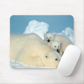 Eisbären Mousepad (Mit Mouse)