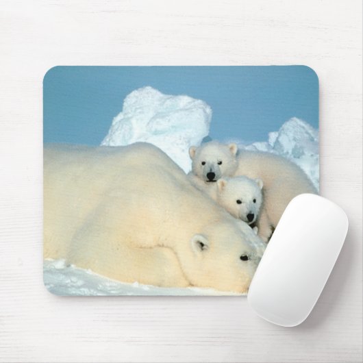Eisbären Mousepad (Mit Mouse)