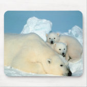 Eisbären Mousepad (Vorne)