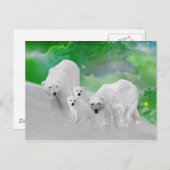 Eisbären, Nördliche Lichter Postkarte (Vorne/Hinten)