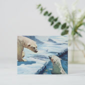 Eisbären Postkarte (Stehend Vorderseite)
