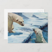 Eisbären Postkarte (Vorne/Hinten)