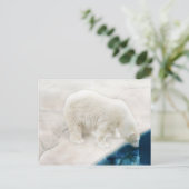 Eisbären Postkarte (Stehend Vorderseite)