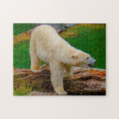 Eisbären. Puzzle (Horizontal)
