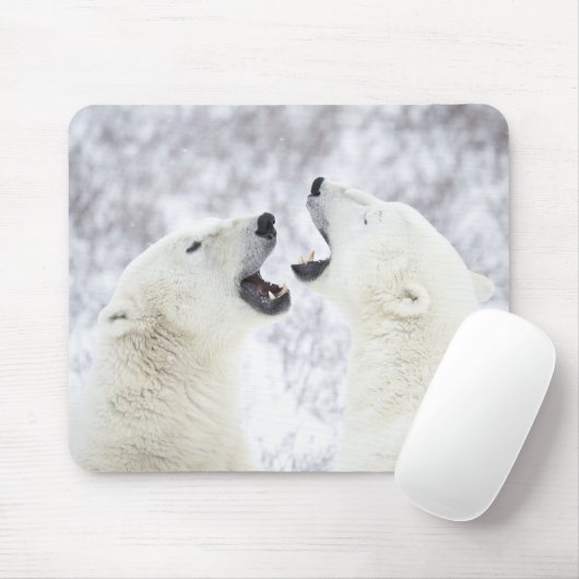 Eisbären spielen im Schnee. Mousepad (Mit Mouse)