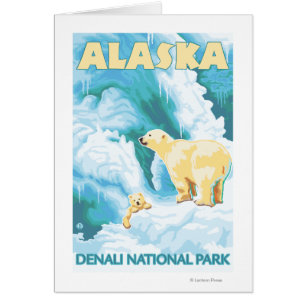 Eisbären u. CUB - Denali Nationalpark, Alaska