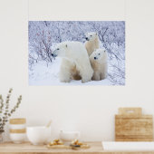 Eisbären und zwei Junge Poster (Küche)