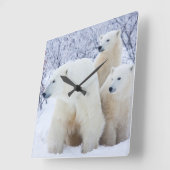 Eisbären und zwei Junge Quadratische Wanduhr (Winkel)