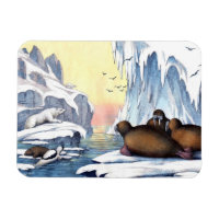 Eisbären, Walrus und Siegel