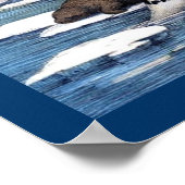 Eisbären, Walrus und Siegel Poster (Ecke)
