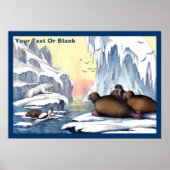 Eisbären, Walrus und Siegel Poster (Vorne)