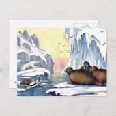 Eisbären, Walrus und Siegel Postkarte (Vorne/Hinten)
