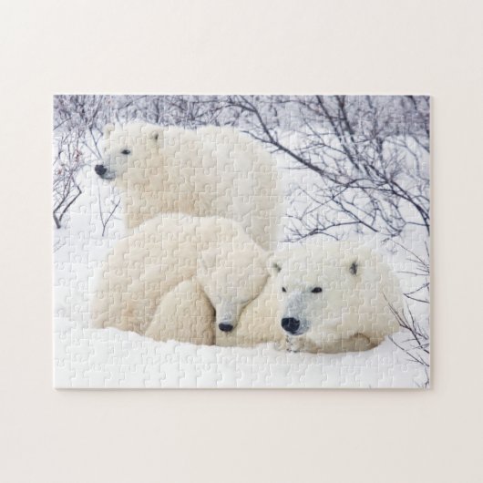 Eisbären Weibchen und zwei Junge 3 Puzzle (Horizontal)