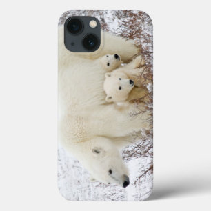 Eisbären Weibchen und zwei Junge iPhone 13 Hülle