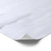 Eisbären Weibchen und zwei Junge Poster (Ecke)
