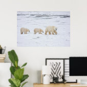 Eisbären Weibchen und zwei Junge Poster (Heimbüro)