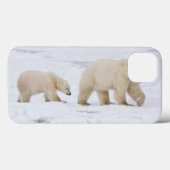 Eisbären weiblich und zwei Junge 2 Case-Mate iPhone Hülle (Rückseite (Horizontal))