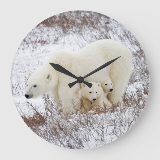 Eisbären weiblich und zwei Junge Große Wanduhr (Vorderseite)