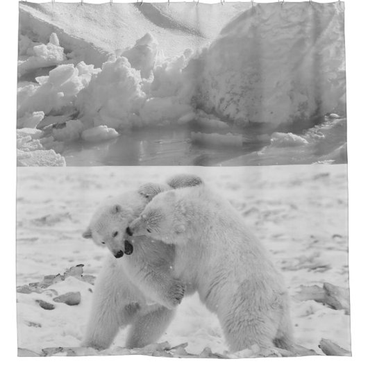 Eisbärenduschvorhang Duschvorhang (Vorderseite)