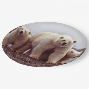 Eisbärenfamilie Pappteller