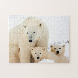 Eisbärenfamilie, Puzzle