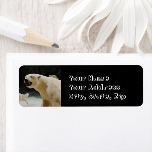 Eisbärengras (Insitu)