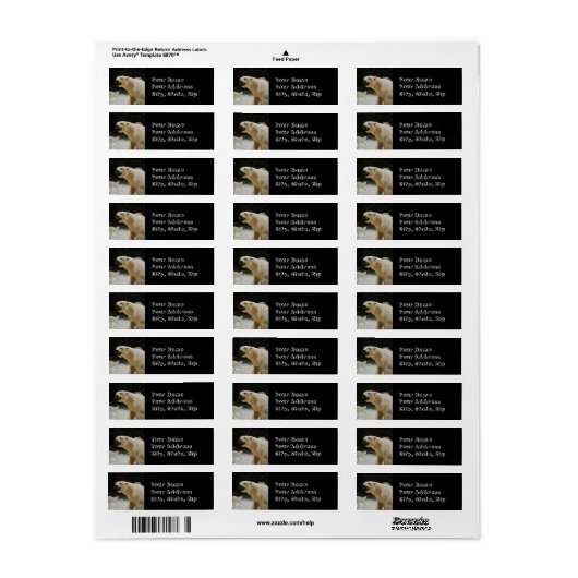 Eisbärengras (Vorne)