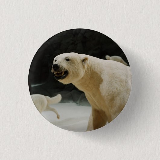 Eisbärengras Button (Vorderseite)