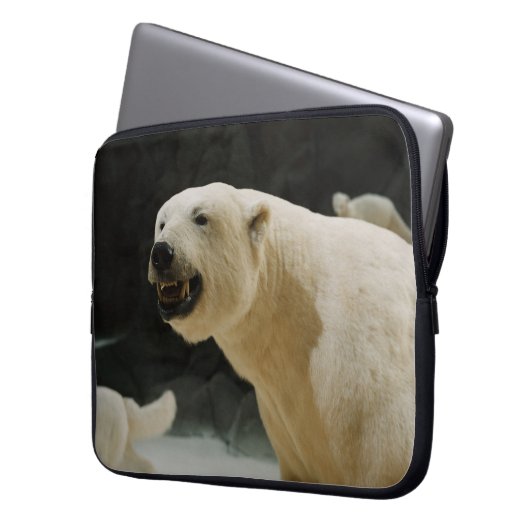 Eisbärengras Laptopschutzhülle (Vorderseite Links)