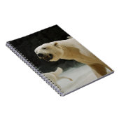 Eisbärengras Notizblock (Rechte Seite)