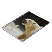 Eisbärengras Notizblock (Linke Seite)