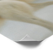 Eisbärengras Poster (Ecke)