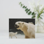 Eisbärengras Postkarte (Stehend Vorderseite)