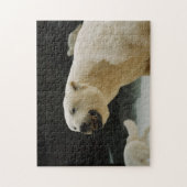 Eisbärengras Puzzle (Vertikal)