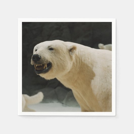 Eisbärengras Serviette (Vorderseite)