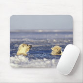 Eisbärenjungen spielen mousepad (Mit Mouse)