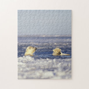 Eisbärenjungen spielen puzzle