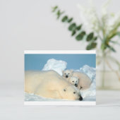 Eisbärenkuchen 1 postkarte (Stehend Vorderseite)