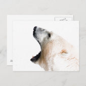 Eisbärenkuchen Postkarte (Vorne/Hinten)