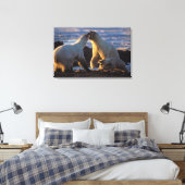 Eisbärensäen mit Krübchen an der Seite, 1002 Küste Leinwanddruck (Insitu (Schlafzimmer))