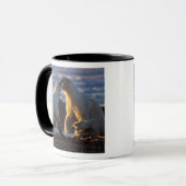 Eisbärensäen mit Krübchen an der Seite, 1002 Küste Tasse (Vorderseite Links)